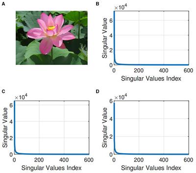 Efficient enhancement of low-rank tensor completion via thin QR decomposition